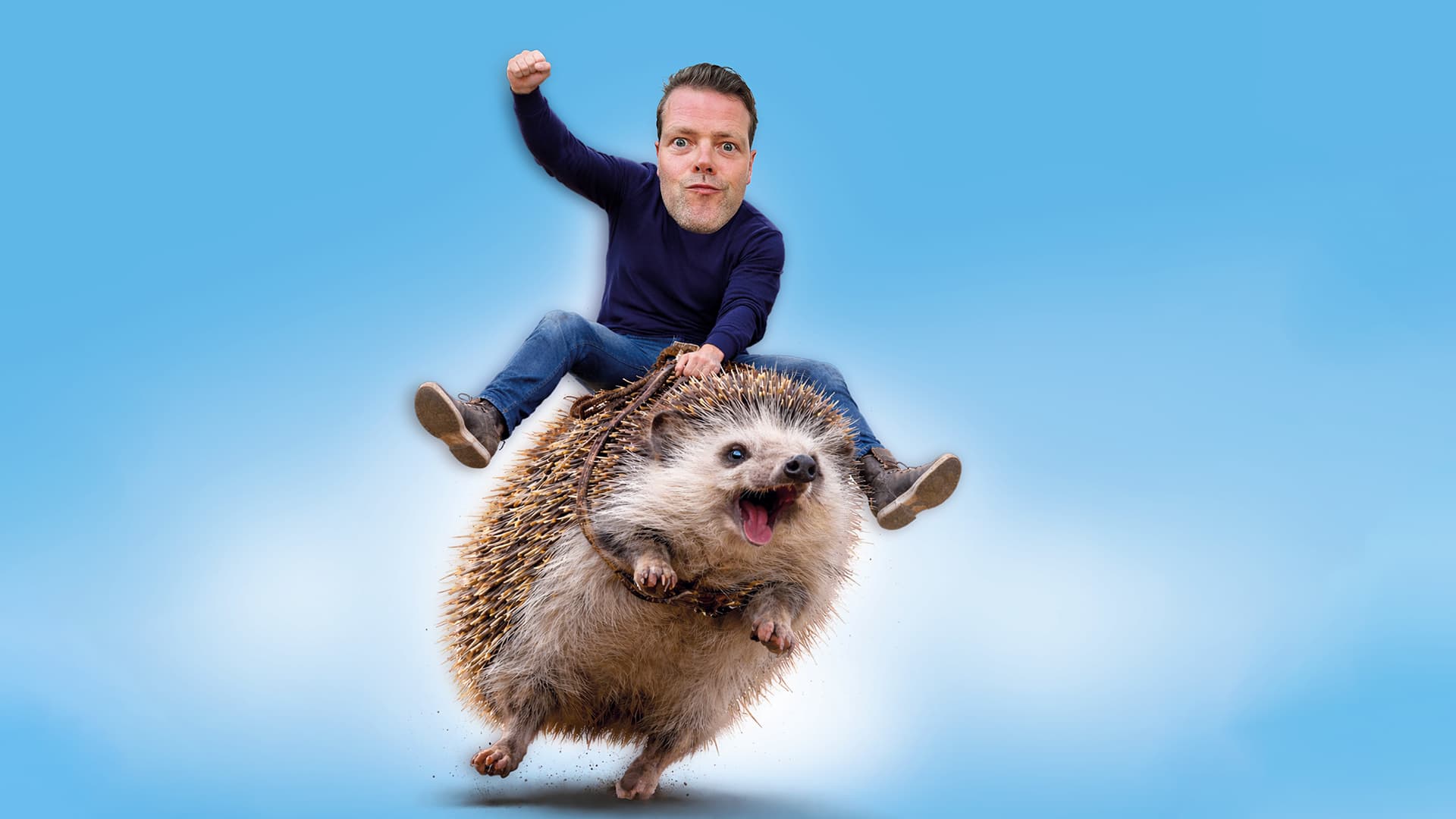 Martijn Koning: Overprikkeld