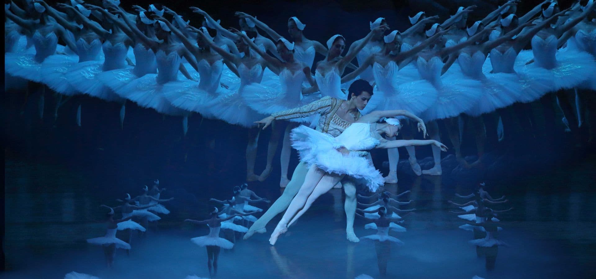 The Largest Swan Lake in the World