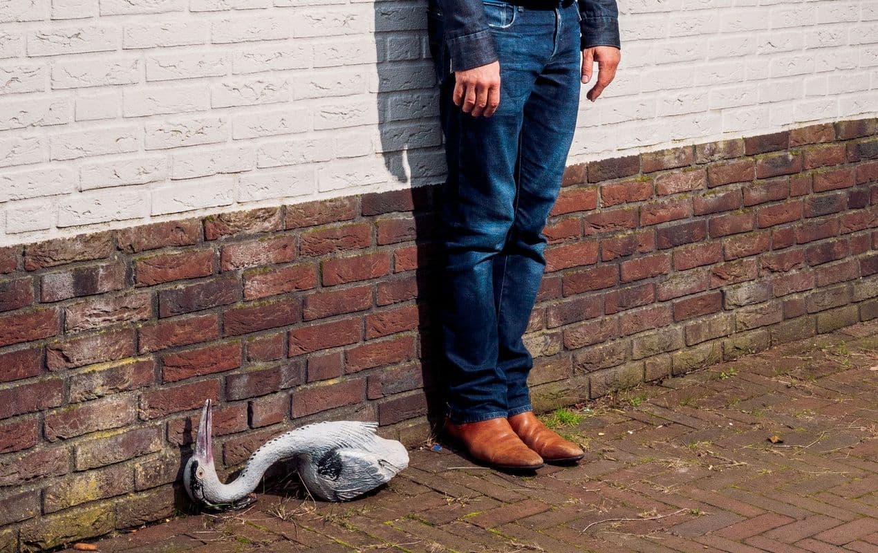 Ronald Snijders: Leven met humor