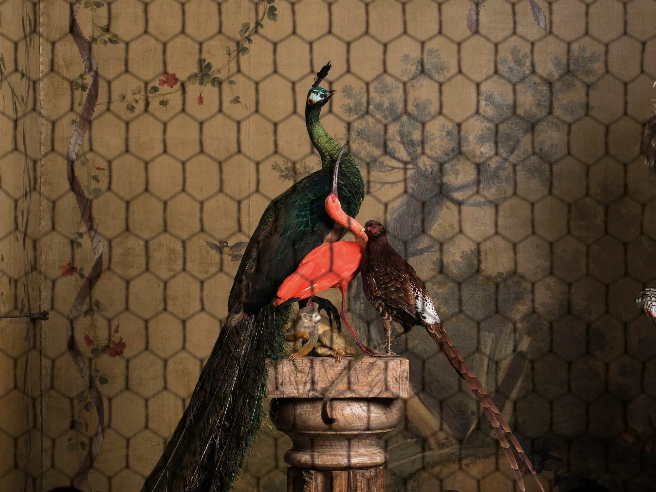 Art Zoo Museum